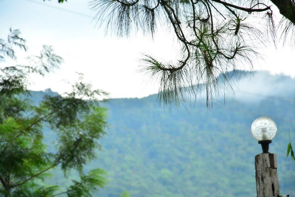 Hotel Red Z Cool Mountain à Khao Kho Extérieur photo