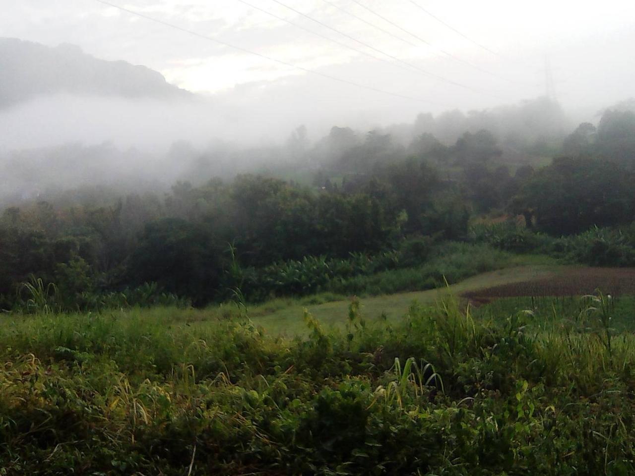 Hotel Red Z Cool Mountain à Khao Kho Extérieur photo
